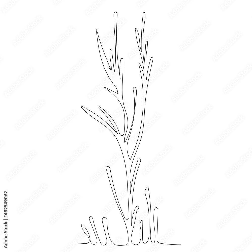 Wall mural algae drawing in one continuous line