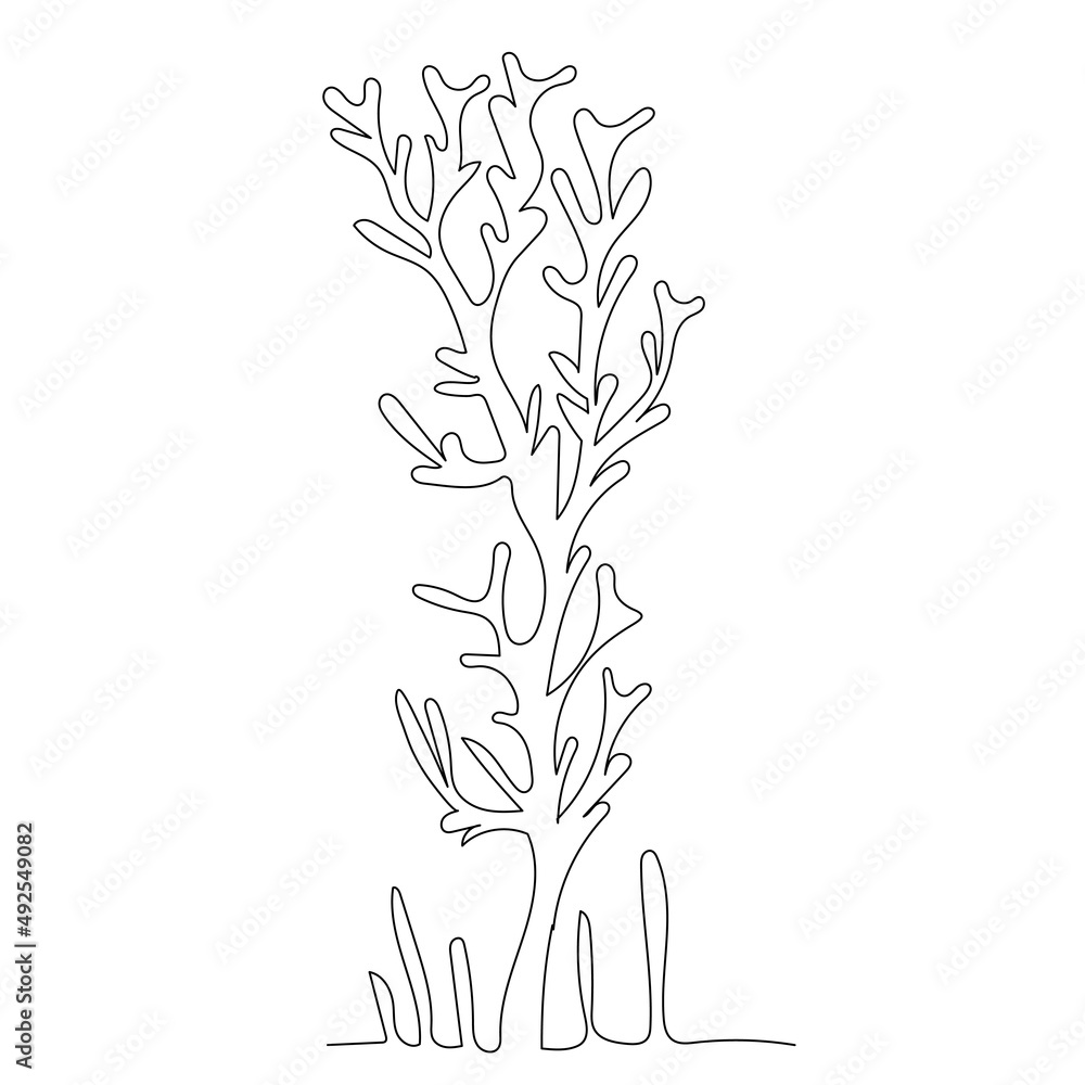 Wall mural algae drawing in one continuous line, isolated