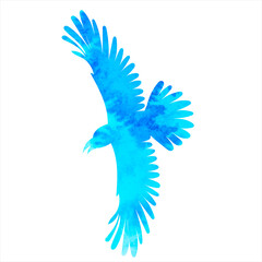 flying bird watercolor silhouette, isolated vector