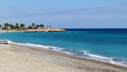 beach with trees