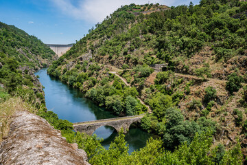 Fototapeta na wymiar Trees and vegetation on hills in valley with river Zêzere and Filipina bridge in viewpoint with Cabril dam in the background, Pedrogão Grande PORTUGAL