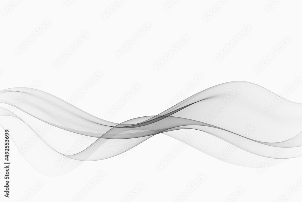 Canvas Prints abstract modern transparent gray wave design for certificate with gray lines. vector illustration