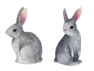 Grey rabbit watercolor illustration
