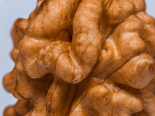 Walnut On A White Background. Nut kernel nut on a white background. Lots of details, Makro