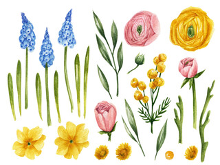Spring flowers watercolor clipart