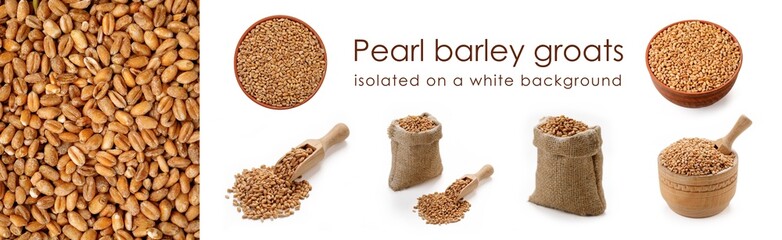 Pearl barley groats isolated on white background. A set of different compositions in one panorama. High quality photo