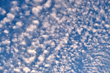 Bright landscape of white puffy clouds spread on blue clear sky