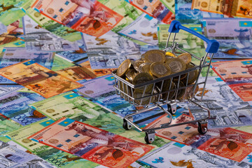 Miniature supermarket shopping trolley, 100 and 200 tenge coins, Kazakhstani banknotes of various denominations