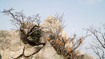 Climbing rocks, pine trees, scenery, and mountain silhouettes far away on a day with severe fine dust.