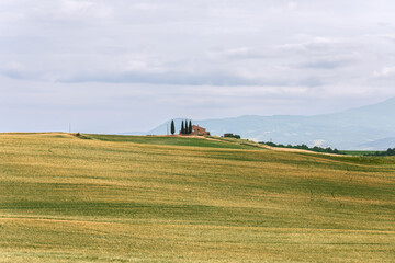 Fototapeta na wymiar Typical Tuscany landscape with farmhouse and cultivated yellow and green field. Val d'Orcia, Italy