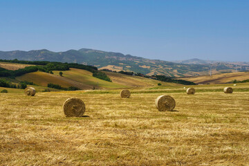 Country landscape in Avellino province, Campania, Italy, at summer