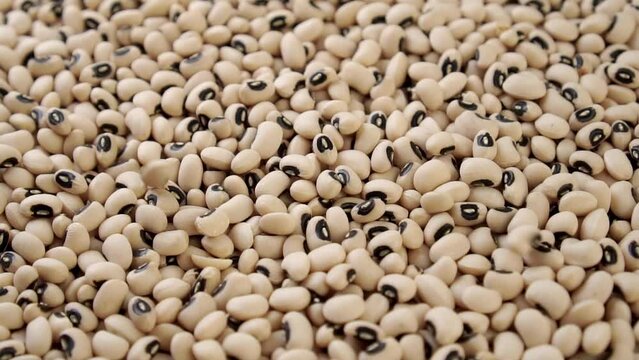 Kidney black eyed beans falling in slow motion. Dry uncooked legumes. Close up. Rotation