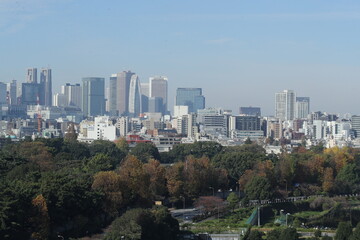 Fototapeta premium la belle ville de Tokyo