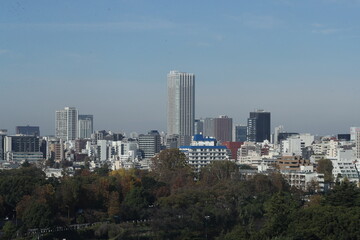 Fototapeta na wymiar la foret entour la belle ville de Tokyo
