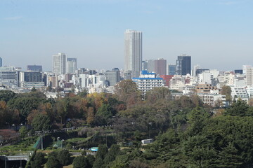 Obraz premium la ville de tokyo 