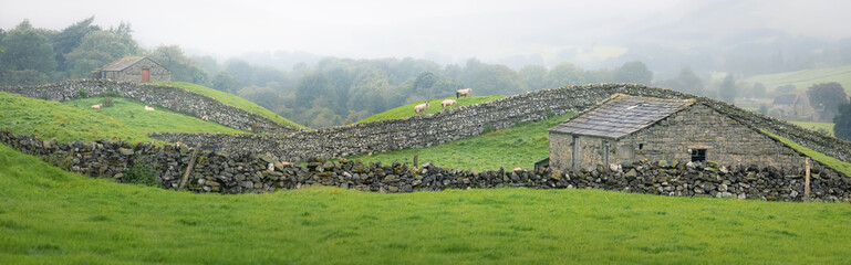Wide panorama rural English countryside view of old stone walls, barns and Swaledale sheep near Hawes of the Yorkshire Dales National Park in England, UK.