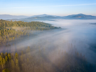 Morning fog in the Ukrainian Carpathians. Aerial drone view.