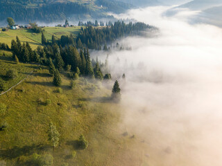 Obraz na płótnie Canvas Fog envelops the mountain forest. The rays of the rising sun break through the fog. Aerial drone view.
