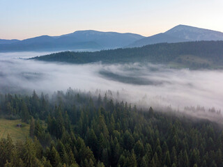 Green mountains of the Ukrainian Carpathians in the morning mist. Aerial drone view.