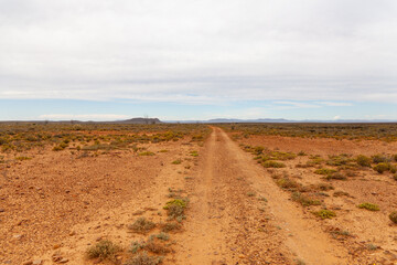 Fototapeta na wymiar The dry and arid landscape of the Karoo.