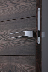 interior door, beautiful canvas, expensive fittings, made of natural veneer, door fittings
