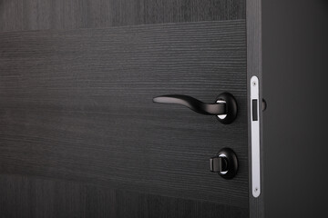 interior door, beautiful canvas, expensive fittings, made of natural veneer, door fittings