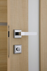 interior door, beautiful canvas, expensive fittings, made of natural veneer, door fittings