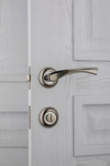 interior door, beautiful canvas, expensive fittings, made of natural veneer, door fittings