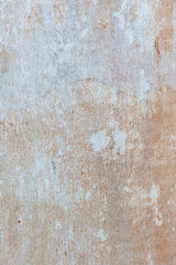 Eucalyptus trunk texture. Smooth wood without bark. Fullscreen