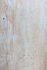 Eucalyptus trunk texture. Smooth wood without bark. Fullscreen