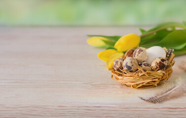 Eggs in a straw basket on a table with tulips in the spring garden. Easter.