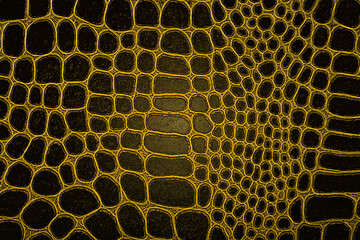 Natural texture of dark crocodile skin, as background. Texture of genuine leather, yellow color.