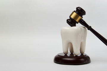Dental insurance concept. White tooth and judge gavel