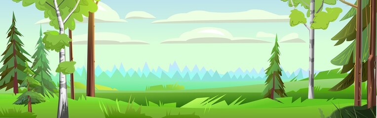 Horizontal view of the forest away. Thick meadow grass and pines and birch. Cute funny floral green landscape. Rural countryside. Illustration in cartoon style flat design. Vector