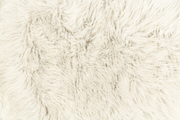 wool carpet on white floor