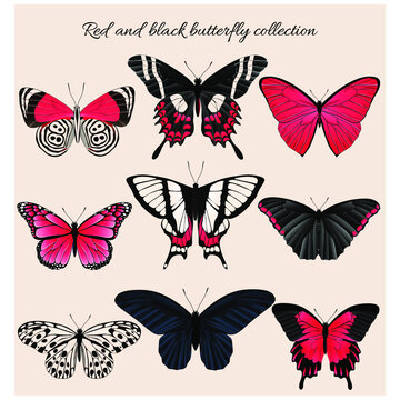 Beautiful butterflies set. Vector isolated elements on the beige background. Vintage illustration.