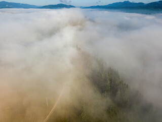 Fototapeta premium Fog envelops the mountain forest. The rays of the rising sun break through the fog. Aerial drone view.