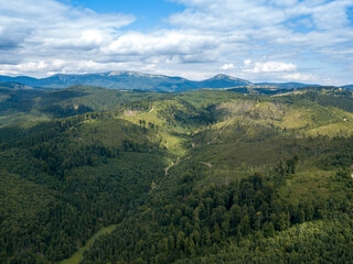 Naklejka premium Green mountains of Ukrainian Carpathians in summer. Coniferous trees on the slopes. Aerial drone view.