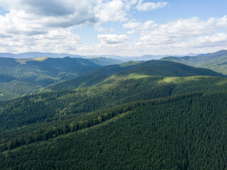 Fototapeta premium Green slopes of Ukrainian Carpathian mountains in summer. Cloudy morning, low clouds. Aerial drone view.