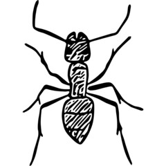 Ink sketch of ant