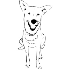 Ink sketch of dog