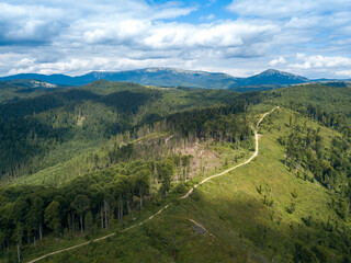 Fototapeta premium Green mountains of Ukrainian Carpathians in summer. Coniferous trees on the slopes. Aerial drone view.