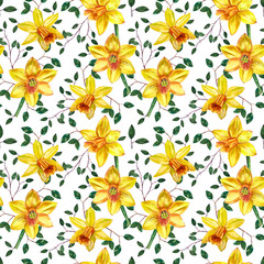 Seamless pattern with yellow daffodils and green twigs hand-painted in watercolor on a white background.