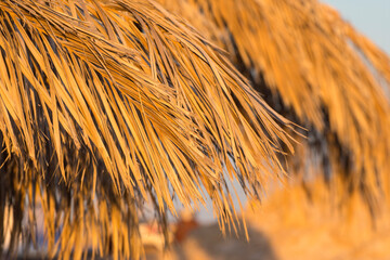 Texture of dry palm leaves. Sun umbrella made of natural palm branches.