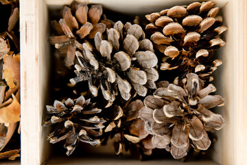 Making Insect Hotel of Natural Materials. Shelter for Bugs, Bees, Wasps, Butterflies. Environment friendly. Ecological pest control. Attracts bees to pollinate your plants. Education for children.