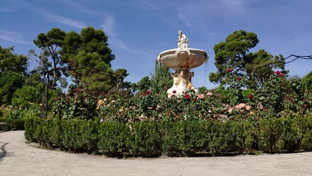 Fountain in Rosaleda at Retiro Park, Madrid (Spain).  On top, a mythological like man sitting and water falling from the sides. Roses surround the fountain. Sunny winter day. Tall trees behind.