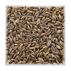 Dill, dill seeds lie in a square container. Can be used for salad soup, for boiled vegetables, for...