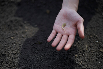 Farmer holds a seed in his hand, agriculture theme