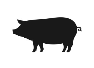 Pig silhouette. Isolated pig on white background