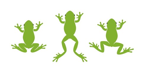 Frog logo. Abstract frog on white background